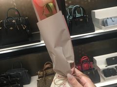 七夕会员礼-COACH蔻驰(赛特奥特莱斯店)