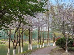 -南山湖公园