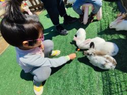 -浅山蜜塘奇妙乐园·亲子营地