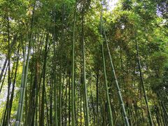 -苏州河梦清园环保主题公园