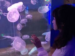 -多彩贵州城极地海洋世界