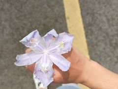 -沐川竹海旅游景区