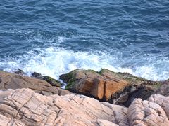 -广东惠东海龟国家级自然保护区