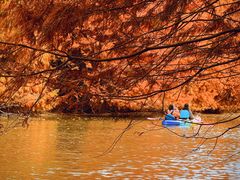 -上海海湾国家森林公园