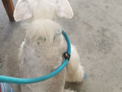 -鹿福农庄(南沙天后宫店)