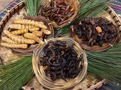-昆虫窝子·特色云南菜(拓东路总店)