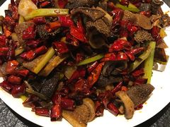 -福苗小骆驼烧烤(大唐不夜城店)