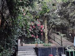-箱美术馆私房菜(水晶郦城店)