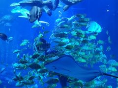 -太平洋海底世界