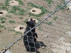 -石家庄市动物园