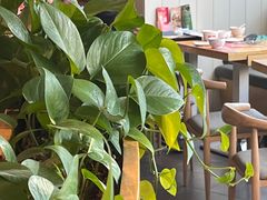 -嘉和一品粥(方庄店)