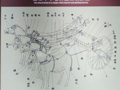 -洛阳周王城天子驾六博物馆