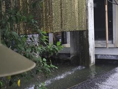 -苏州本色美术馆