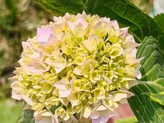 -山东省千佛山医院