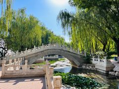 -丰台科技园生态主题公园