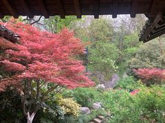 -中国茶叶博物馆(双峰馆区)