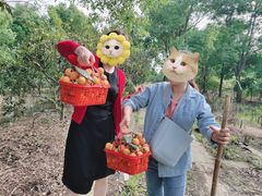 -塘栖枇杷特色园区