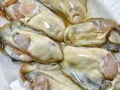 -花苑美食横琴生蚝火锅(拱北粤华路店)