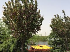 -西安汉城湖景区