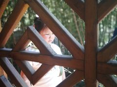 -武清南湖绿博园