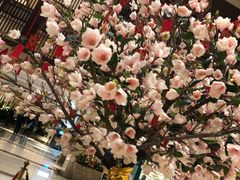 -盘锦红海温泉乐园