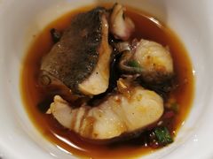 -东吴霸王兔(松青路店)