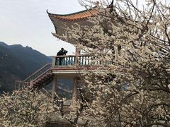 -广州市流溪河国家森林公园