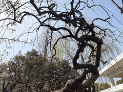 -兰溪青年公园