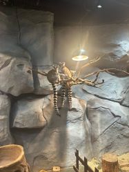 -Zoolung Zoolung动物主题公园(海信广场店)