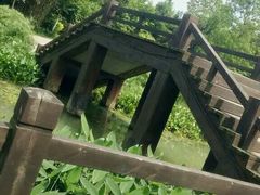 -艾溪湖湿地公园