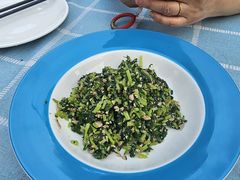 -张鸟园农家乐(张鸟园店)