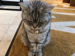 -金谷里艺术馆