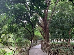 -小洲村