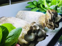 -番食园鲜食火锅(高新店)
