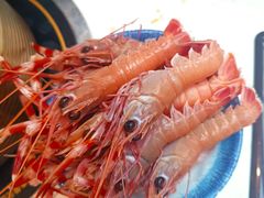 -半岛听涛蒸汽海鲜自助(K11店)