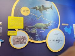 -浙江自然博物院(杭州馆)