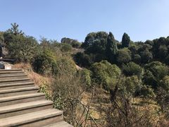 -大罗山风景区