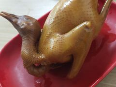 -光明刘冰乳鸽店(光明法政北路店)