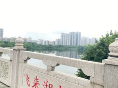-飞来湖湿地公园