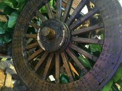 -369自助烤肉鱼火锅(平阳路店)