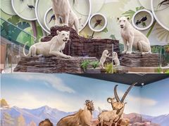 -陕西自然博物馆