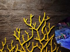 -安徽省地质博物馆