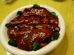 -丁老爷子苏香圆