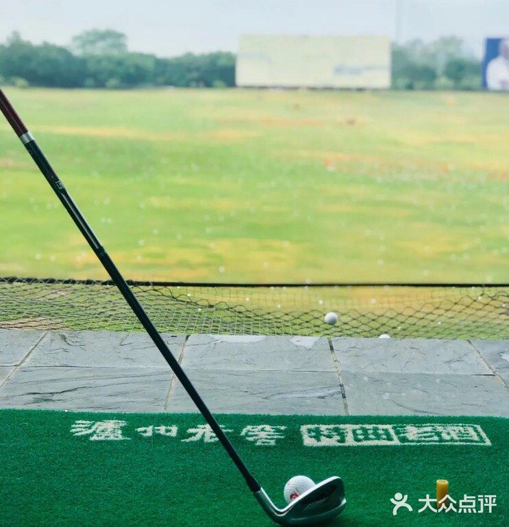 ～优雅的挥杆～️迷上高尔夫  禁足辣么久
