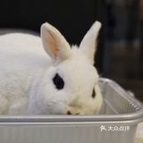 夏日里带着宝宝一起来跟小动物亲密接触吧[礼花]