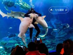 -左海海底世界