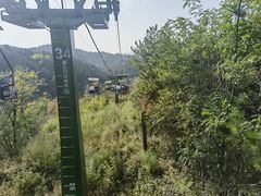 -磬锤峰森林公园