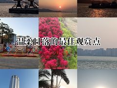 -华侨公园