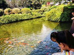 -泸州老窖景区
