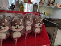 -柴犬高等学院·狗咖·柴犬售卖·宠物训练